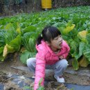 유안농장 이미지