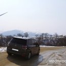 피카소 목장 이미지