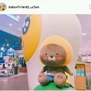 제이지 이미지