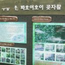 무릉도원올레 이미지