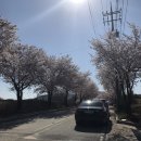 위더스 동물메디컬센터 부설 동물보호센터 이미지