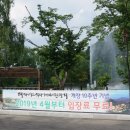 대가야테마관광지 물놀이장 이미지