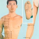 신경총괄 이미지