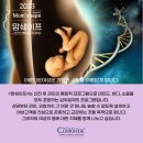 가장 최신의 산전산후관리<맘쉐이프>, 국내 최고의...교육기관 코몽드아카데미가 산전산후의 정점(頂點...