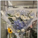 레플레르 이미지