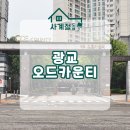 광교오드카운티(아) | 광교오드카운티 안방 전체 디아망벽지 도배 / 수원 광교 도배