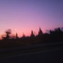 그림이 오감을 만났을때- 감각주의 이미지