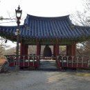 황금개구리 이미지