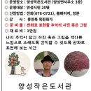 양성작은도서관 이미지