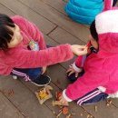 배곧새솔어린이집 이미지