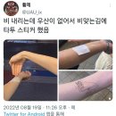 뒤죽박죽 이미지