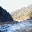 인제농협 본점 이미지