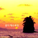 강산 - 성남시 분당구 판교로 442 | 강산