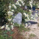 광바위주유소 이미지