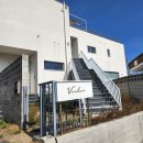 비비다아리 이미지