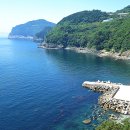 욕지도 관광농원 이미지