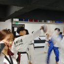 대림태권도 네이버블로그
