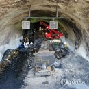 순천-12호 이미지