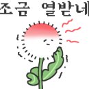 낭만푸드