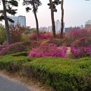 영등포공원 이미지