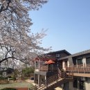 아벤티노의 농장 네이버블로그