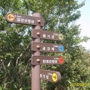 금강산축산 - 동구 대전로 786-1 | 금강산축산