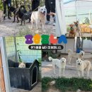 쉼터 운영에 도움을 요청드립니다 (마감) 이미지