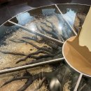 청소년수련원_1F 이미지