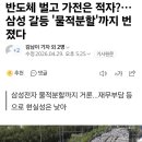 반도체 벌고 가전은 적자?…삼성전자 갈등 '물적분할'까지 번졌다 이미지
