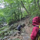 인월산장 | [경남●함양]호우로 멈춘 지리산 천왕봉 산행ㅠㅠ/백무동계곡 물놀이와 오도재·지안재 힐링 드라이브...