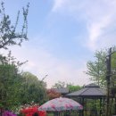 양감우체국 이미지