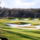 테디벨리골프장 4 이미지