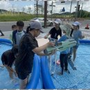 MTA 늘푸른 태권도 이미지