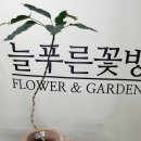 공간꽃방 이미지