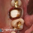 녹번건강약국 | 의료장비 스타트업 개발 자문 후기 - 구강스캐너 스타트업 &#34;arcreal&#34;