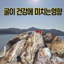 구지경 | 겨울 보양식 추천｜반동마을 굴구이가 건강에 좋은 이유와 옥이해물나라 굴구이 맛있게 먹는 법
