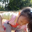 정남농촌체험휴양마을 이미지