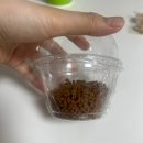 마이요거트립 우장산점 초코쉘 아이스크림 솔직후기