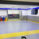 성원용인대태권도체육관 이미지