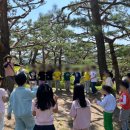 지오숲어린이집 | [청주고인쇄박물관 특별프로그램] 흥덕사지에서 자연과 놀아요 8회차 후기