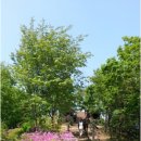 성림약수터 이미지