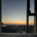 비자림의 아침 | 🌊🍂251115 제주도 가족여행 3일차 : 졸띠승마체험 • 비자림 • 제주레일바이크(용눈이오름) • 김녕...