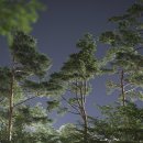 <경계에 서다> 이미지