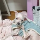 창렬농장 | 생일 주간