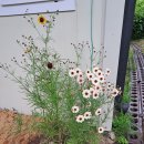 천안모두펜션 이미지