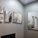 11650-7-19-9 | ꒰W｡19-2꒱ 부산 w웨딩 비아스튜디오 촬영 준비 및 후기 리뉴얼정보, 촬영시안, 드레스 정보