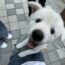 미소랑푸드 이미지