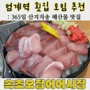 지혜횟집 | [범계 횟집 모임 추천] 제철 방어를 가성비와 좋게 먹을 수 있는 속초오징어어시장 범계점