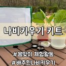 애벌레도서관 | 봄 맞이 배추흰나비 키우기 추천ㅣ다희네농장 배추흰나비 애벌레 키트 후기