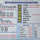 꼬니네회조개 이미지